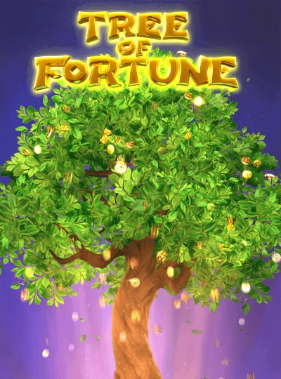 Video slot bonus round cover